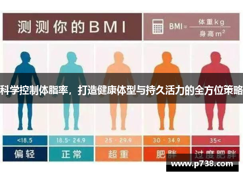 科学控制体脂率，打造健康体型与持久活力的全方位策略